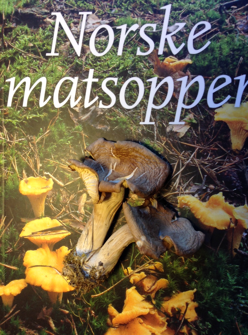 matsopp