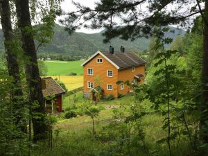 IMG_1654