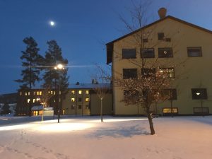 IMG_0559