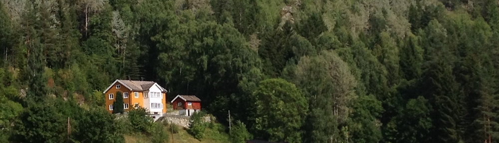 Wonen in Noorwegen